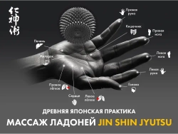 Массажное кресло FUJIMO 氣 Combat 4D Коричневый