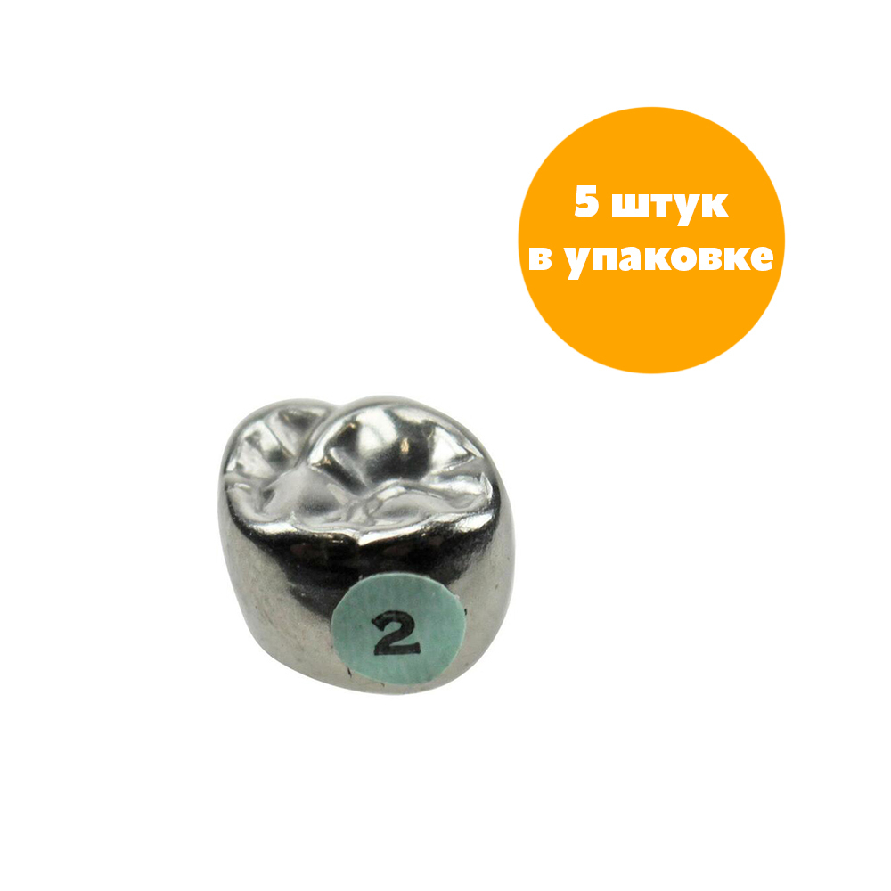 Второй верхний левый моляр, размер 2 (E-UL-2)