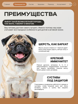 Корм сухой для пожилых собак породы Мопс старше 7 лет, с индейкой, 800 гр, QUATTRO