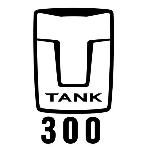 300jpg.jpg
