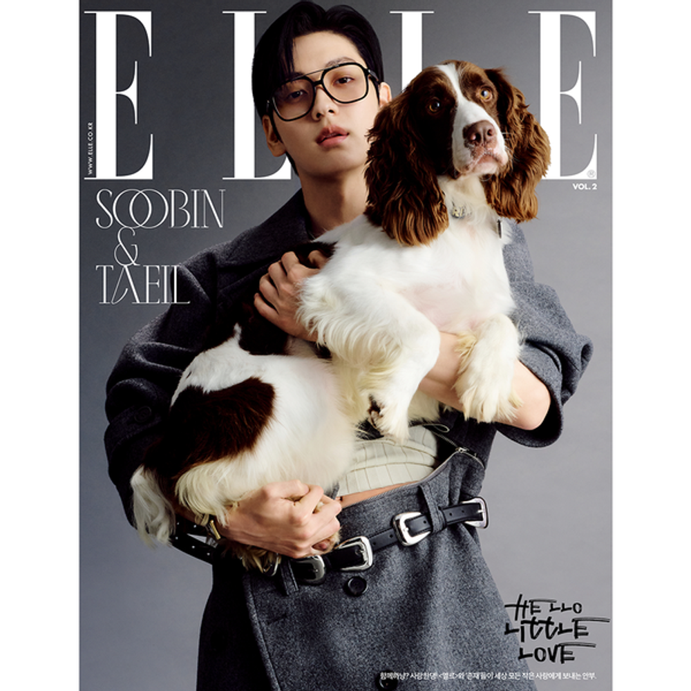 Журнал ELLE - 2025. 11 (Cover. SOOBIN, TZUYU & JEONGYEON, NATTY & BELLE, SEUNGKWAN)