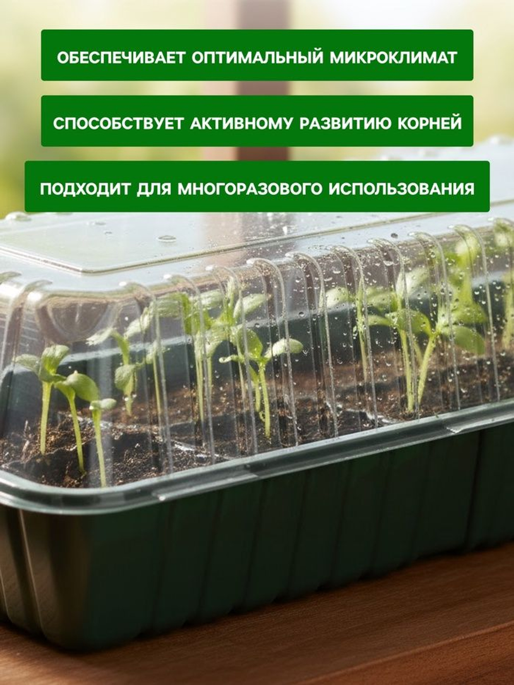 Парник мини на подоконник/ Мини теплица на подоконник под 2 кассеты / Парник для рассады Без вставок. 1 шт.
