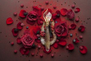 The Merchant of Venice Rose Cloud