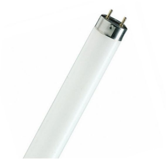 Лампа люминесцентная Osram L 30W/765 T8 30W 6500K G13 28187