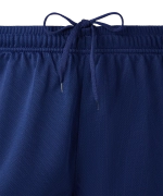 Шорты баскетбольные DIVISION PerFormDRY RBF 2S Shorts, темно-синий