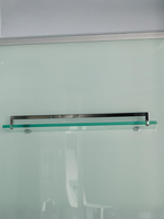 Душевая кабина WeltWasser WW500 EMMER 11055 1100х1100х2170 мм 10000003288