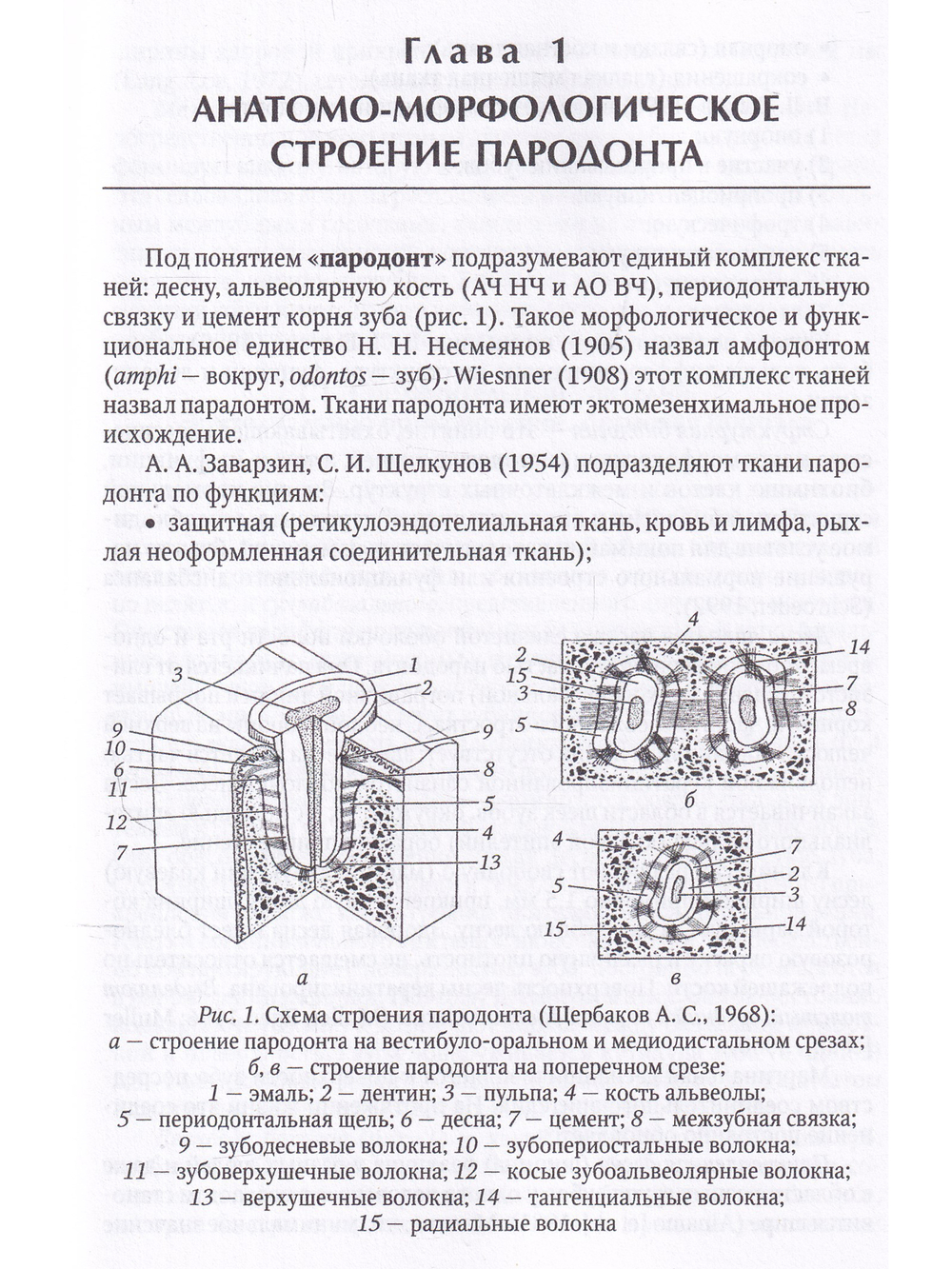 Диагностика пародонтита