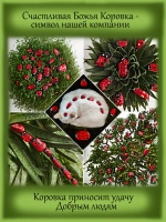 Бузина черная Блек Лейс Черное кружево