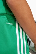 Шорты adidas Squadra 25 Junior - зеленый