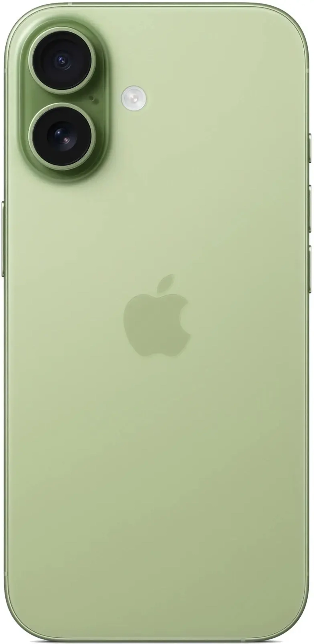 iPhone 17 256 ГБ зеленый