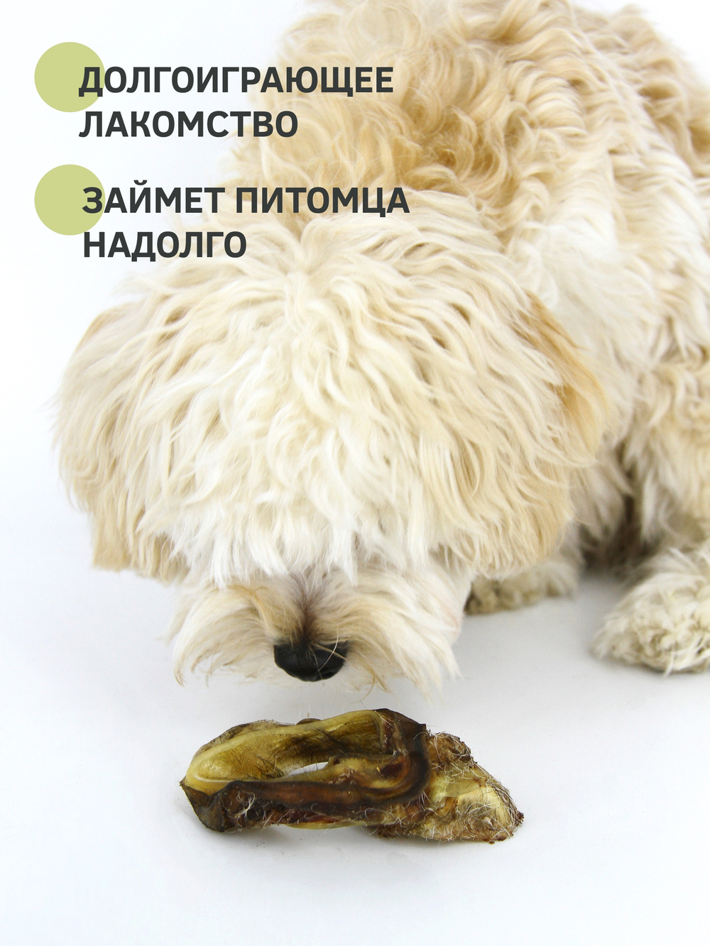 Внутреннее ухо, без шерсти — лакомство для собак, 1 шт