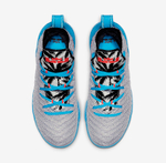 Заказать в Москве Nike LeBron 16 GS