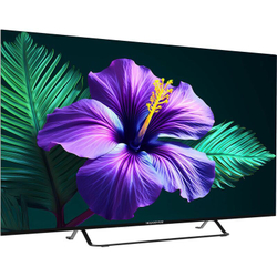 Телевизор 55" Topdevice TDTV55CS05U_BK