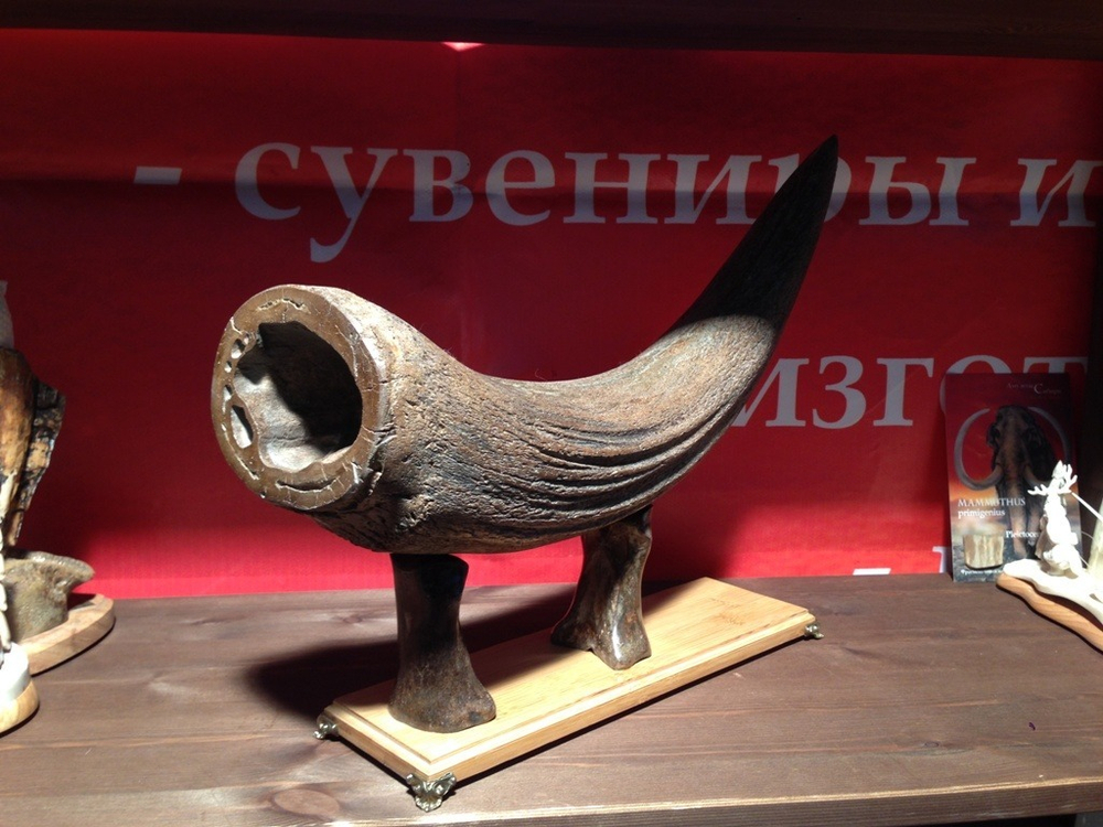 Рог первобытного бизона