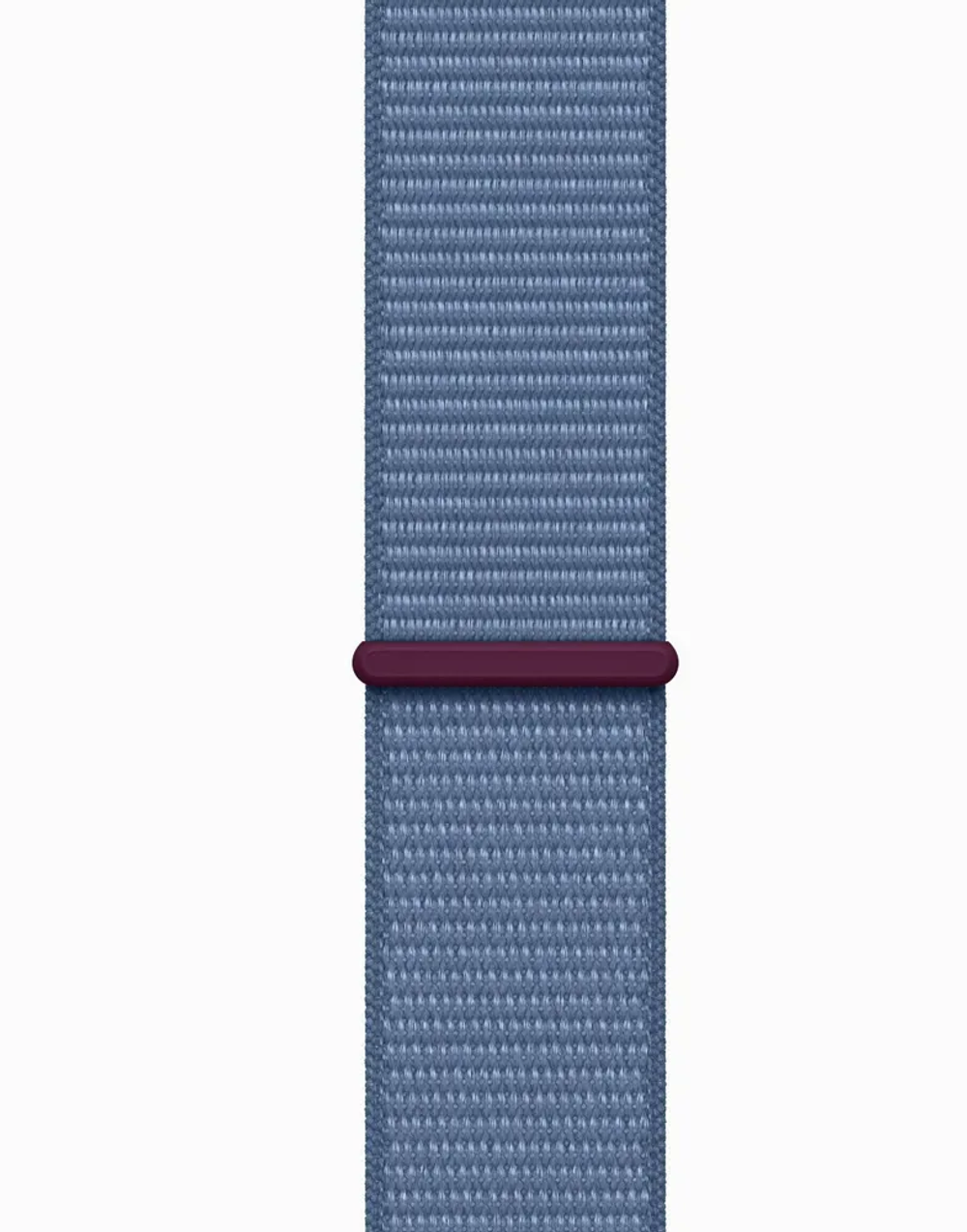 Умные часы Apple Watch Series 9 45mm Silver Al Winter Blue SL GPS (MR9F3)