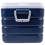 Контейнер изотермический CW Thermobox Family Line 060 65л Синий Белый 63х43х40см 4.9кг 72ч Аккумулятор в комплекте 138385 / FL-S060