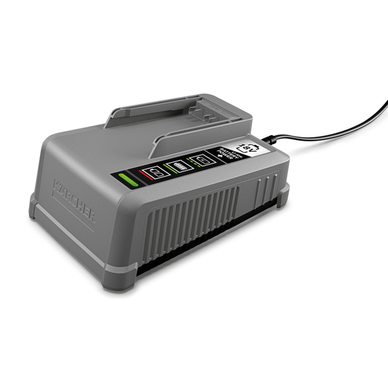 Быстрозарядное устройство Battery Power+ 18/60