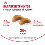 Royal Canin British Shorthair Kitten Киттен Британская короткошерстная Корм сухой сбалансированный для британских котят 2кг