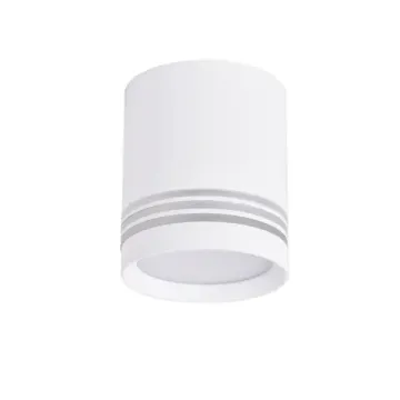 Накладной потолочный светильник 1*GU10 3065-1C белый Darar Favourite