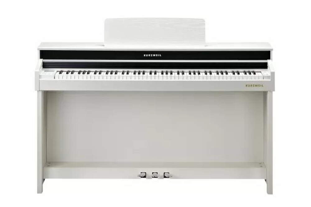 Kurzweil Andante CUP320