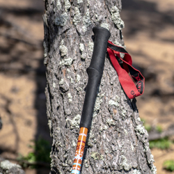 ПАЛКИ ТРЕККИНГОВЫЕ TALBERG RANGER POLE