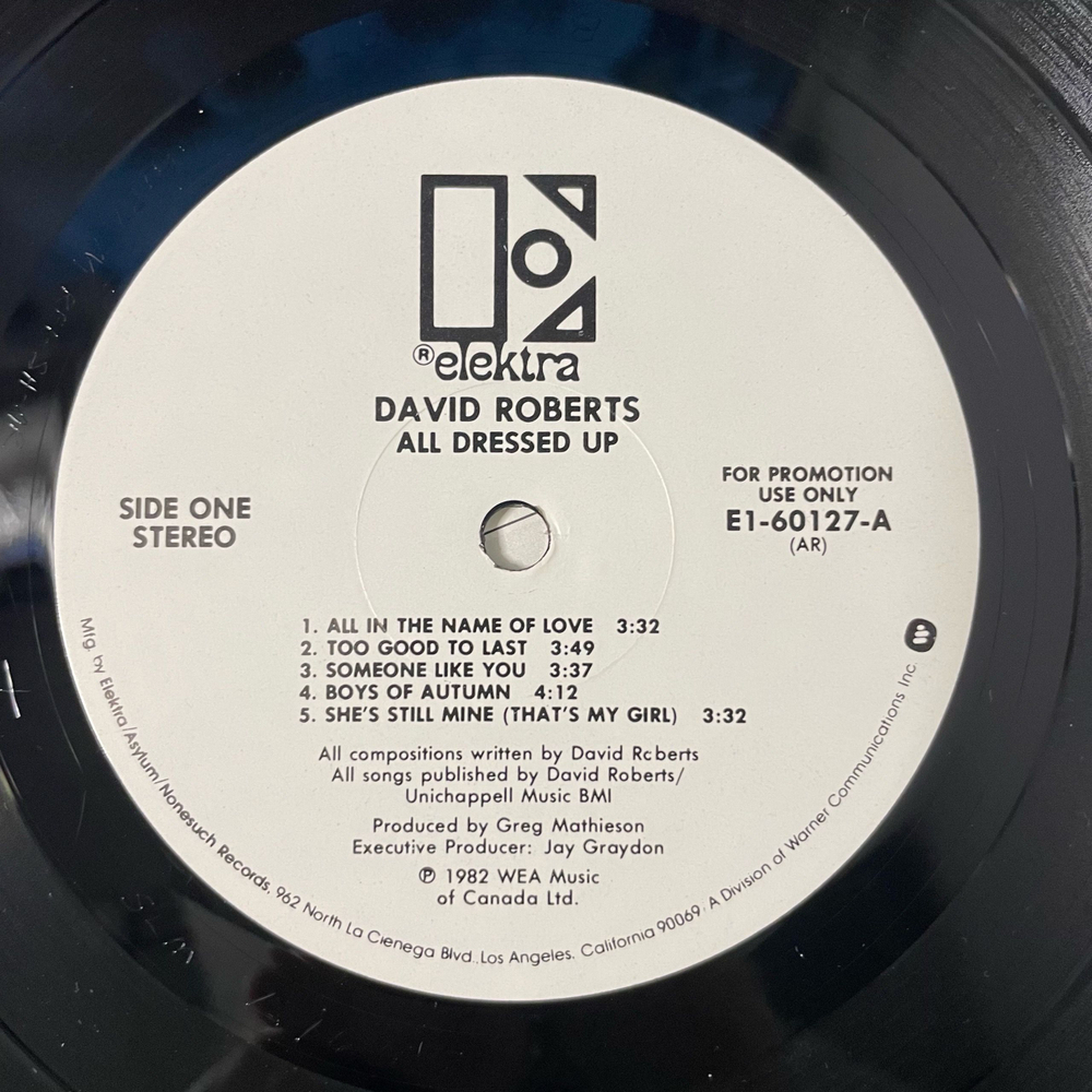Винтажная виниловая пластинка LP David Roberts, All Dressed Up (Канада 1982)