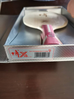 DHS Fang Bo B2X