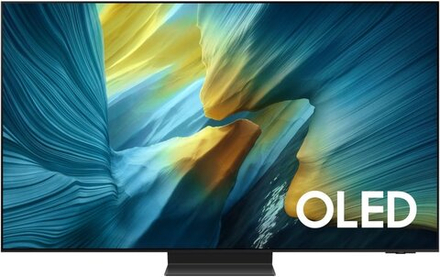 Samsung QE65S95F