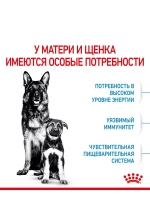 ROYL CANIN XI STARTER MOTHER & BABYDOG 1-2months PRO (РОЯЛ КАНИН МАКСИ СТАРТЕР МАЗЕ ЭНД БЭБИДОГ 1-2 месяца корм сухой для собак Maxi Starter 18 кг.