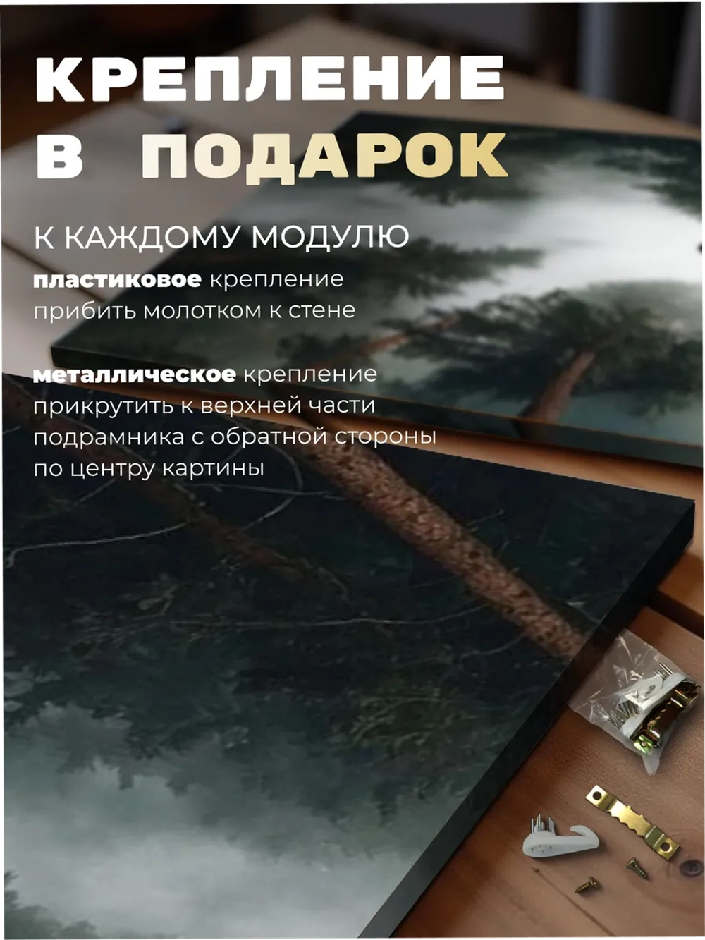 Картина Одинокий сокол над лесом модульная 50x70см 3шт.