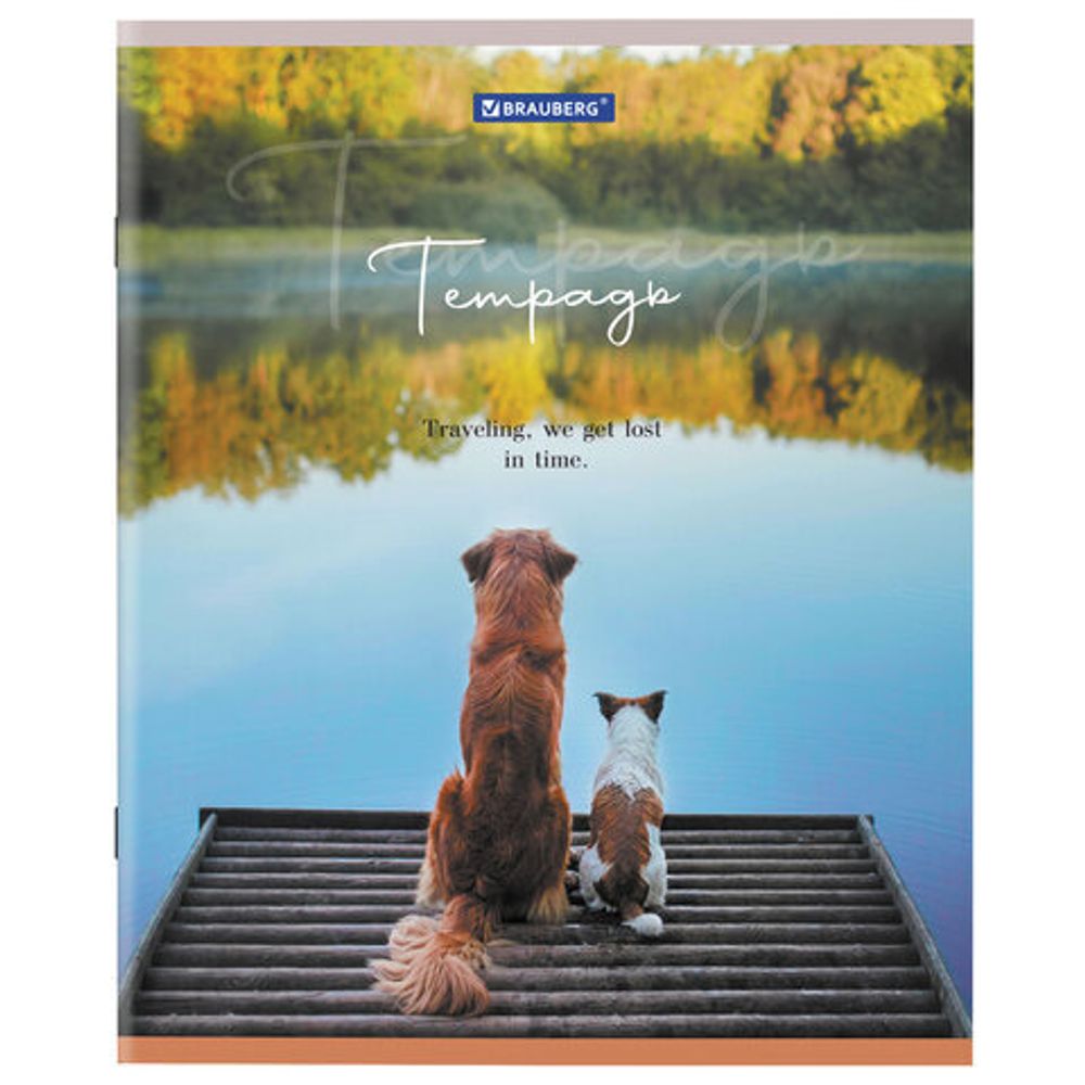Тетрадь А5 48 л. BRAUBERG скоба, клетка, обложка картон, "Best Friends", 404360, 5шт