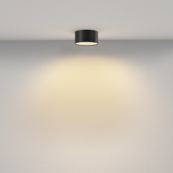 Потолочный светильник Technical C032CL-12W2.7K-RD-B
