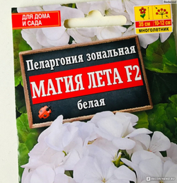 Пеларгония Магия Лета белая 5шт Ц Аэлита