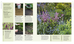 New Wild Garden: Natural-Style Planting and Practicalities