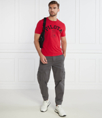 Футболка Aeronautica Militare - красный(TS2137J615)