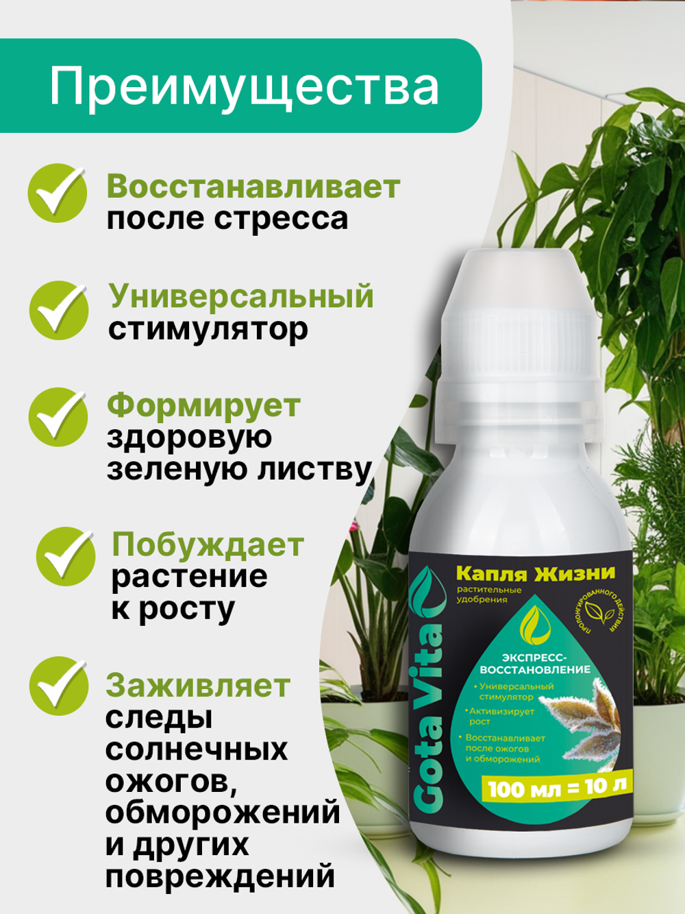 Экспресс -восстановление 100/10