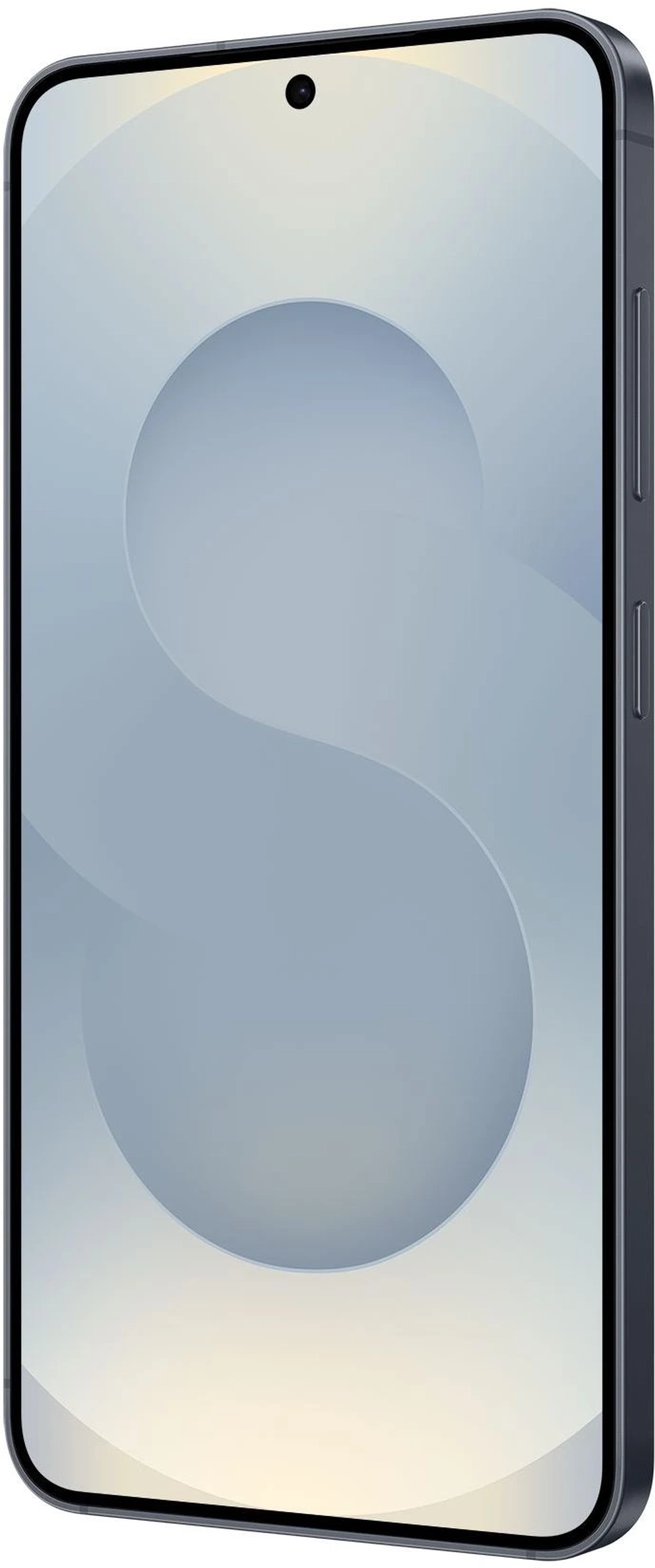 Смартфон Samsung Galaxy S25 12 ГБ + 256 ГБ Чёрный | Blueblack