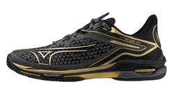 Мужские кроссовки теннисные Mizuno Wave Exceed Tour 6 AC 10TH - черный