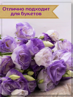 Семена Эустома Мистик Блю сиреневая + торфяные таблетки, 5шт, набор для выращивания