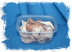 Ракушки Арка, 4-6см, 100гр, 25шт