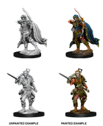 Male Elf Rogue / Эльфы-плуты
