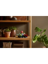 Конструктор Botanical Collection 10309 Суккуленты