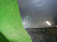 DSCN1254.jpg