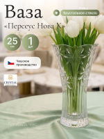 Ваза для цветов "Персеус Нова Х" 25 см