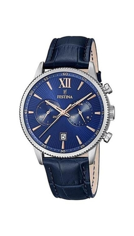 Мужские наручные часы Festina F16893/A