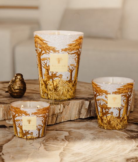 Cocody, свеча MAX 35 Sacred Trees collection, Baobab Collection