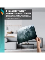 Фотообои на стену Туманный лес 200x270см