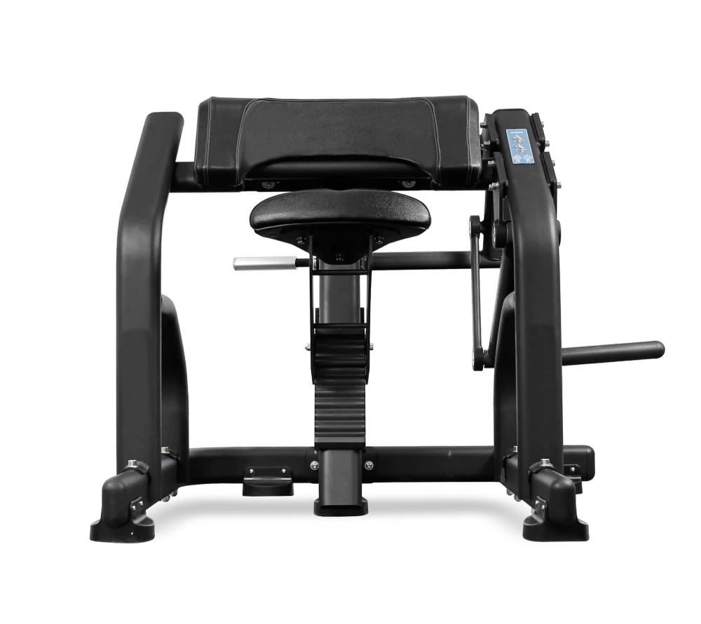 Бицепс BRONZE GYM PL-1713