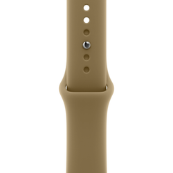 Apple Watch S12