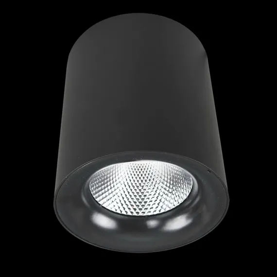 Точечный светильник Facile A5112PL-1BK Arte Lamp